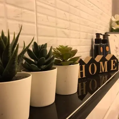 three potted plants sitting on a black shelf at Narada Residence in Pak Kret
