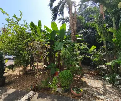 a garden with trees and plants on a street at Amina Residence in Ban Sai Ma