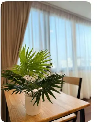 a potted plant sitting on top of a wooden table at Omalaya Bangkok in Samphanthawong