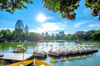 a group of swans in a lake in a city at XX GO INN Silom BTS Saint Loius - เซนหลุย in Yan Nawa