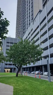 a tree in the grass in front of a building at The Politan Aqua, River Front in Ban Sai Ma