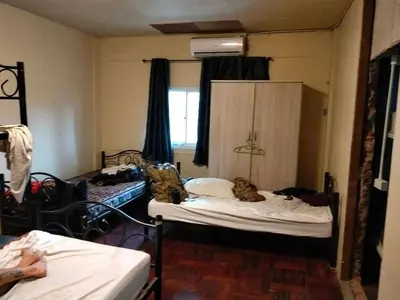 two beds in a room with two dogs laying on them at A fantastic house next to W district food market in Amphoe Phra Khanong