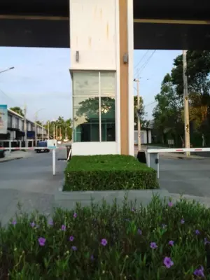 a building with purple flowers in front of a street at Cosy Preuksa House 120 in Bang Yai