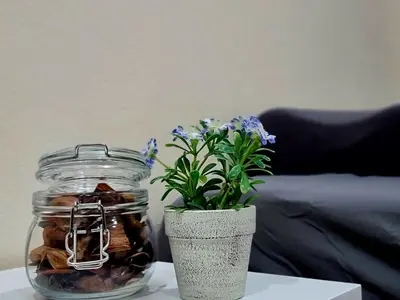 a glass jar with a plant in it on a table at 38 House Don Mueang Airport BTS Wat Phrasi in Bang Khen
