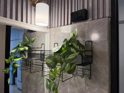 a plant on a wall with three plant holders at Cozy Studio near Train Night market & BKK Airport in Bangna