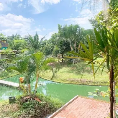 Chan Klong No8 Homestay - บ้านชานคลองหมายเลข8