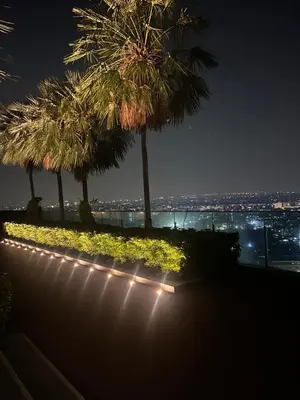 a row of palm trees and lights at night at Luxury Apt BTS EKKAMAI with pool sauna gym in Bangkok