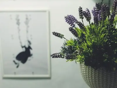 a vase filled with purple flowers next to a picture at Victory Park Hostel in Bangkok