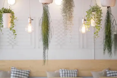 a bunch of hanging plants in a room at Movylodge in Bangkok
