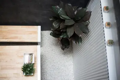 a potted plant on a wall next to a table at On the Bed Hostel in Bangkok