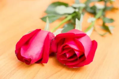 two pink roses sitting on a wooden table at The Garden Place Bangkok in Nonthaburi
