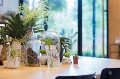 a table with a bunch of plants in glass vases at The Journey Hotel Laksi in Bangkok