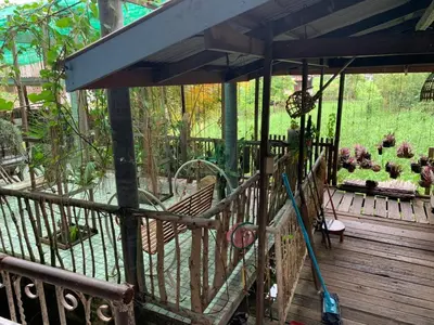an umbrella on a wooden deck with potted plants at Cast Away in Nonthaburi