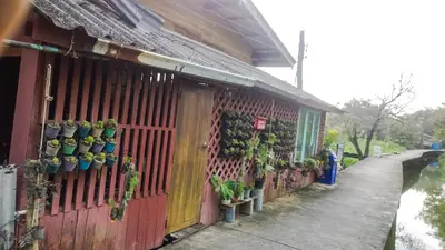 a building with a bunch of potted plants on it at Cast Away in Nonthaburi