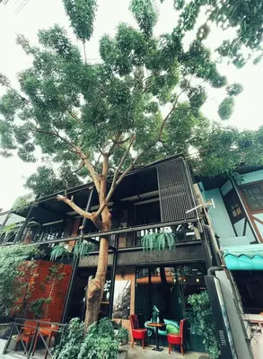a tree in front of a building with red chairs at Yotaka The Hostel in Bangkok
