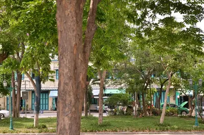 a row of trees in front of a building at Neighbor Phuthon in Bangkok