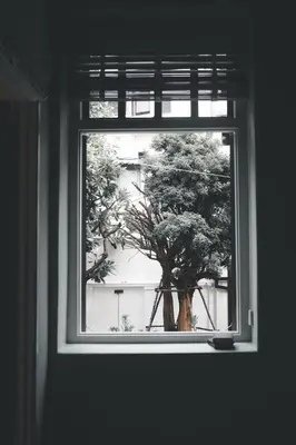 a window with a tree outside of a building at Baan 2459 Heritage House in Bangkok