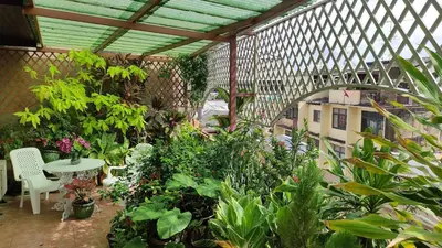 a greenhouse with a bunch of plants and a table and chairs at Thai Cozy House in Bangkok