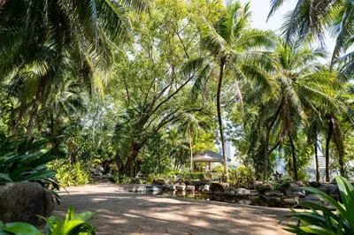a park with palm trees and a dirt road at TUI BLUE Maduzi Hotel Bangkok in Bangkok