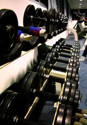 a row of dumbbells in a gym at Convenient Park Bangkok in Bangkok