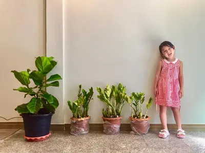 a little girl standing next to four potted plants at My Home N1 - BTS Ratchathewi in Bangkok