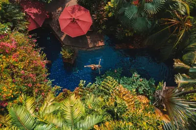 a person swimming in a pool in a garden with umbrellas at Sheraton Grande Sukhumvit, a Luxury Collection Hotel, Bangkok in Bangkok