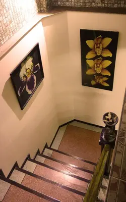 a stairway with pictures on the wall and a stair case at Born Free Hostel in Bangkok