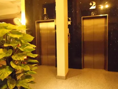 two elevator doors in a building with a plant at Lodge 61 Hotel in Bangkok