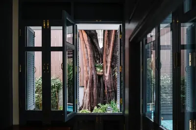 a window with a tree in the background at Baan Vajra in Bangkok