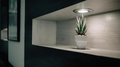 a potted plant sitting on a shelf in a room at Step One at Bangkok in Bangkok