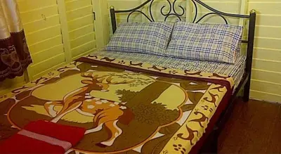 a small bed with a picture of a horse on it at New Phiman Riverview Guesthouse in Bangkok