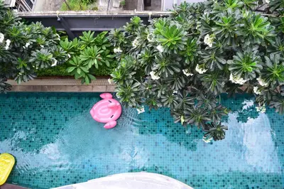a pink swan in a swimming pool with plants at Peace Land Khaosan in Bangkok