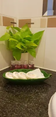 a green plate with a potted plant on a counter at Sena House in Bangkok