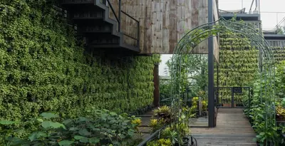 a garden with a green wall and a wooden walkway at Bangkok Tree House Bang Kachao in Bangkok