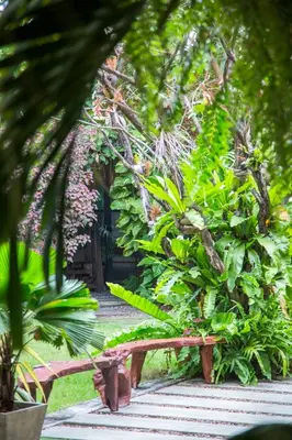 a wooden bench in a garden with green plants at The Loft Resort Bangkok in Bangkok