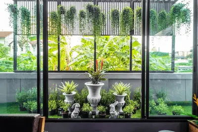 a room with a window with potted plants at Aliz Hotel in Nonthaburi