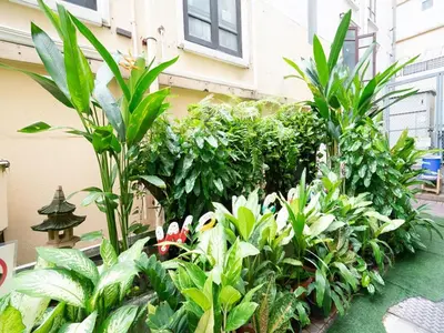a garden with green plants and a building at The Ecotel Bangkok in Bangkok