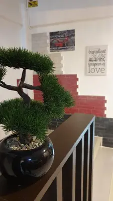 a bonsai tree in a vase on a table at Great House 99 in Bangkok