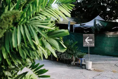 a sign with an arrow on it next to plants at SUNKISS in Bangkok Noi