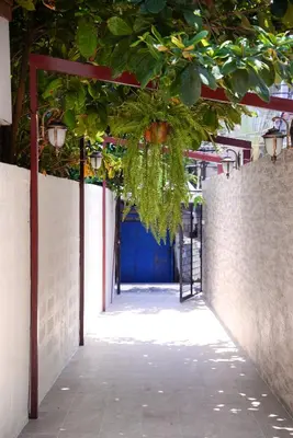 an alley with a blue door and some plants at U-need Guesthouse95 in Bangkok
