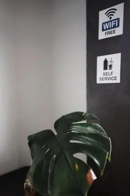 a green plant in front of a wall with a sign at THE HOG in Bangkok Yai