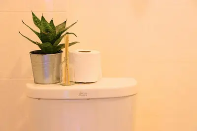 a plant on top of a toilet in a bathroom at Baan33 check in by yourself code inbox 4fl behind Amazon cafe in Bangkok