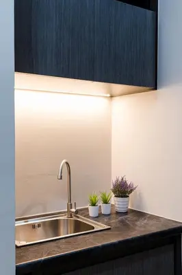 a kitchen counter with a sink and two potted plants at College Haus Rangnam in Bangkok