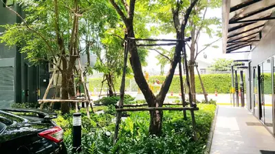 a tree swing in the middle of a sidewalk at The Excel Groove Condo at Lasalle 52 in Bangkok