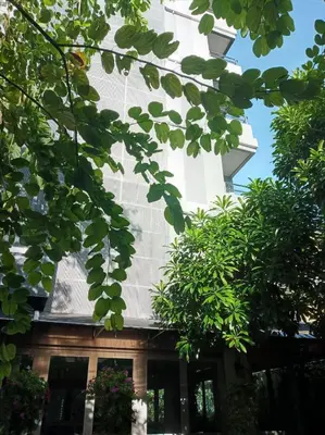 a white building with trees in front of it at The Qube fifty Hotel in Bangkok