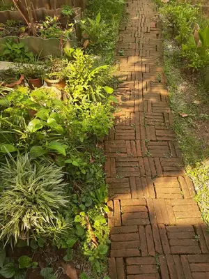 a brick path in a garden with plants at Baan Boon in Bangkok