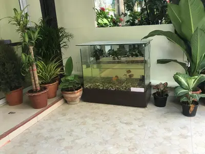 a large aquarium in a room with plants at HARRYS RESIENDENCE in Bangkok
