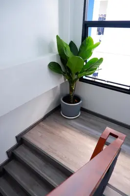 a stairwell with a bench and a plant next to a window at J & L Residence and Spa in Ban Khlong Khwang Klang