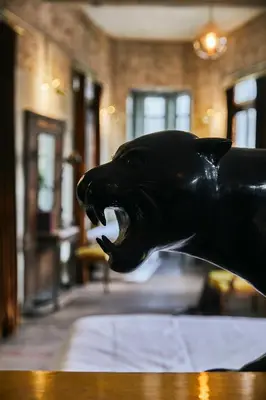 a statue of a black dog with its mouth open at The Mustang Blu in Bangkok