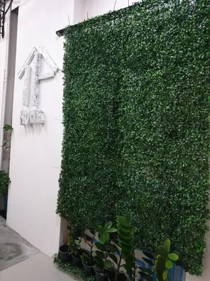 a ivy covered wall with a number one on it at TP home in Bangkok
